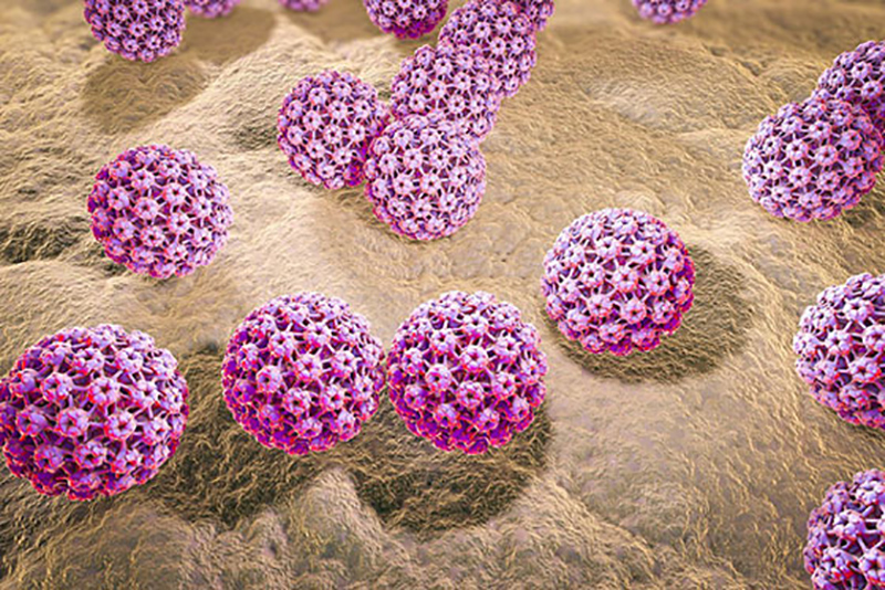 راه های انتقال ویروس HPV و پیشگیری از زگیل تناسلی کدام اند؟